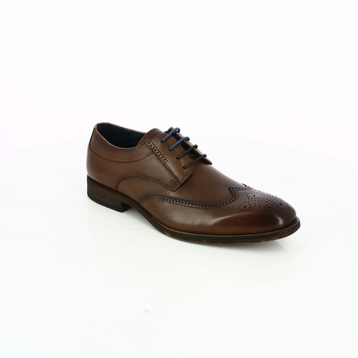 dorp weduwnaar Snor Cypres | Schoenen Kevin Shoes