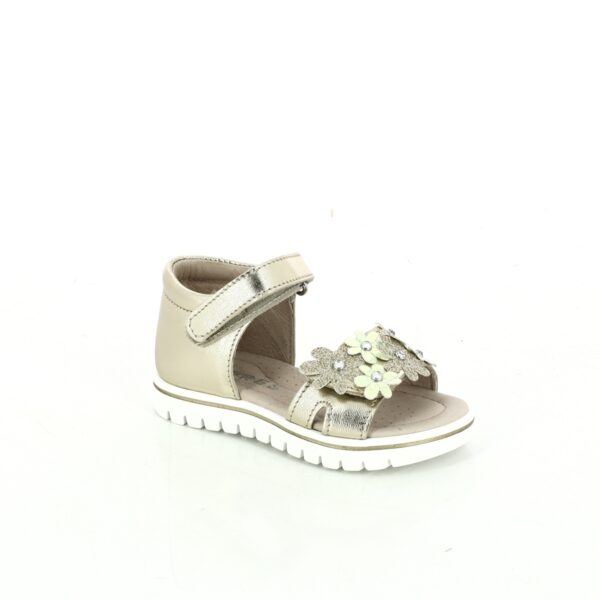 CYPRES SANDALEN GOUD Schoenen Kevin Shoes
